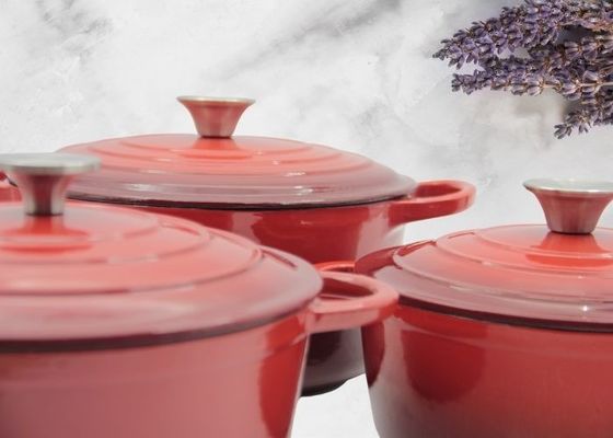 Émaillez la fonte Stew Pot For Kitchenware de cocotte en terre de fonte