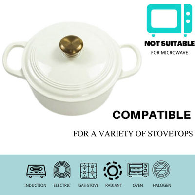 Four néerlandais libre de la cocotte en terre 21/22cm de fonte de rouille pour 2-4 personnes