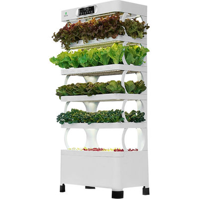 Système hydroponique de végétation intelligent Veggiefloe - Le meilleur choix pour des légumes sains cultivés dans la maison
