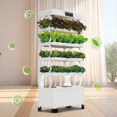 Système hydroponique de la fleur de légumes: légumes frais, sains et durables
