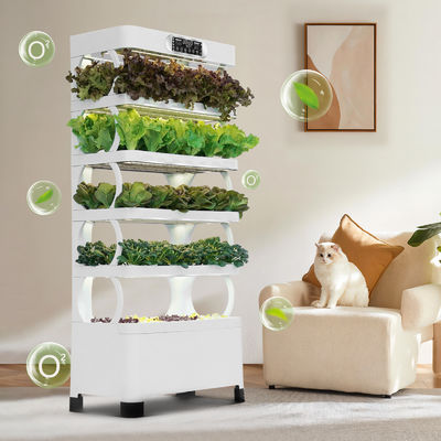 Système hydroponique à base de légumes pour les écoles: apprentissage pratique et alimentation saine pour les enfants