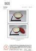 Chine HENAN RUAN XIN TRADING Co., Ltd certifications